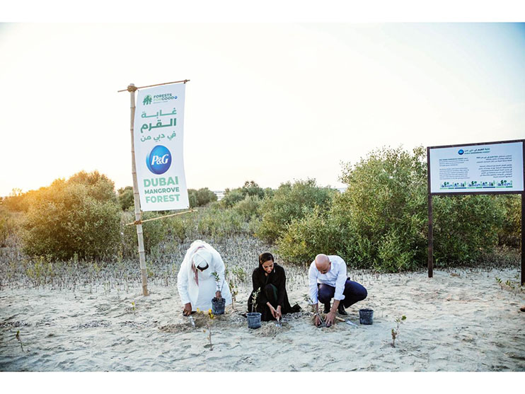 Emirates Marine Environmental Group and Procter & Gamble Launch the P&G Dubai Mangrove Forest