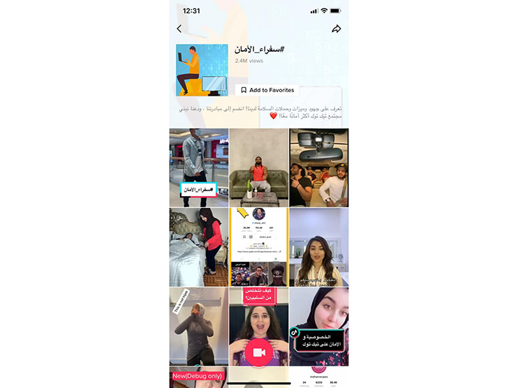 TikTok Safety Ambassadors Program Rolls out in MENA