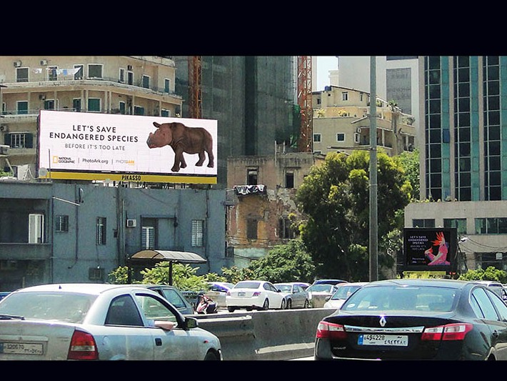 Pikasso Joins the Global OOH Community to support the National Geographic Society Campaign for Endangered Species Day